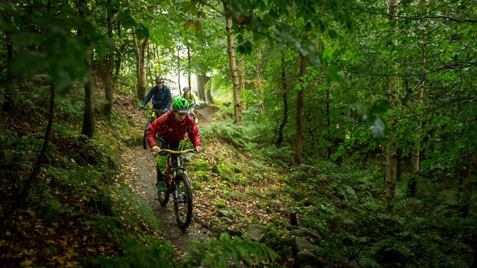 Castlewellan Mountain Bike Trails